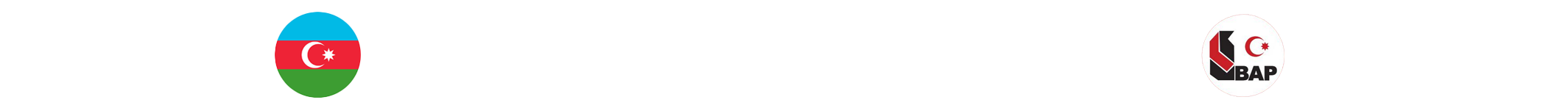 Böyük Azərbaycan Partiyası